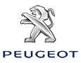 Peugot Brunswick Mechanic Service